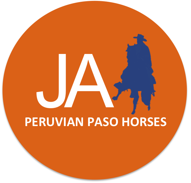 JA Peruvian Paso Horses